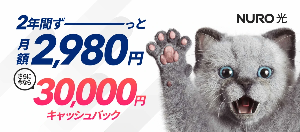 NURO光2ねん定額プランの月額2,980円と期間限定30,000円キャッシュバック