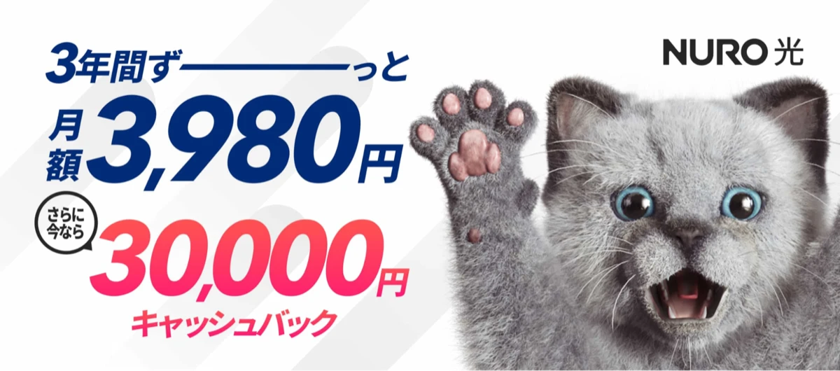 NURO光3ねん定額プランの月額3,980円と期間限定30,000円キャッシュバック