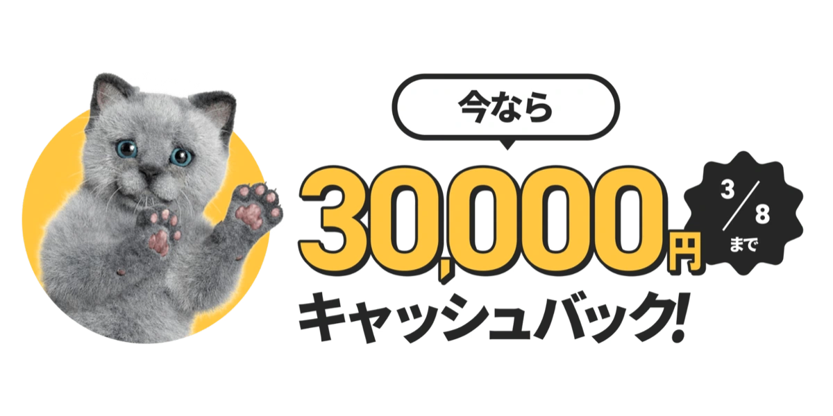 NURO光期間限定30,000円キャッシュバックキャンペーン